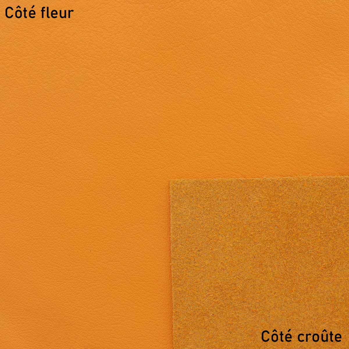 Image du produit 41
